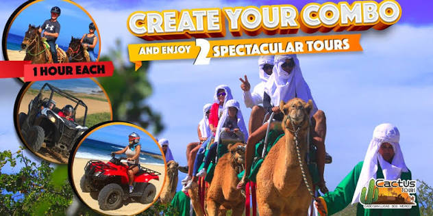 Cactus Tours