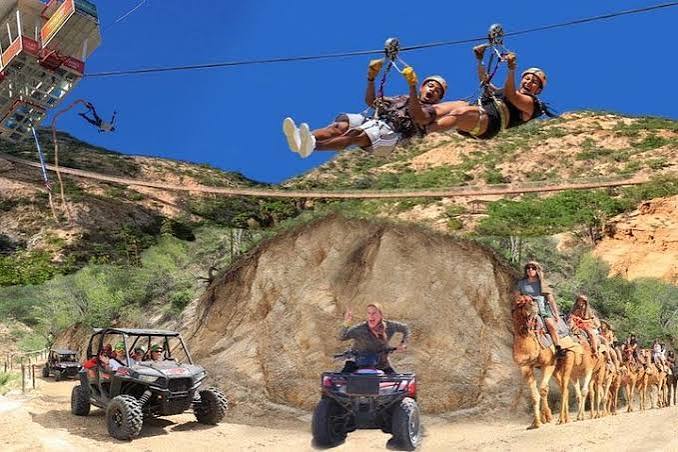 Wild Canyon